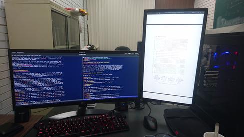 Monitores con mi brazo