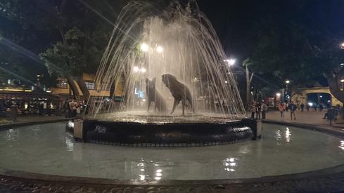 Los Coyotes