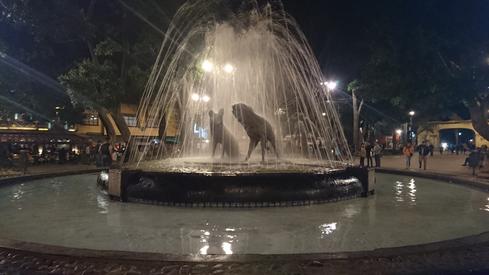 Los Coyotes