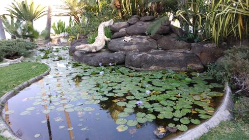 La fuente