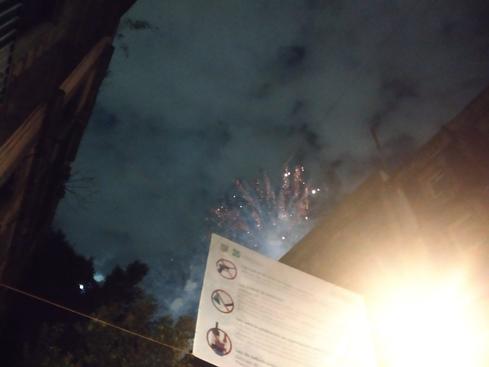 Los fuegos artificiales