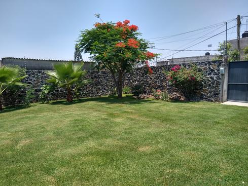 El jardín