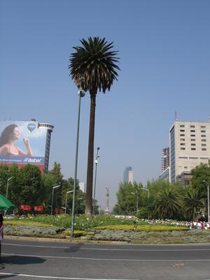 La Palma