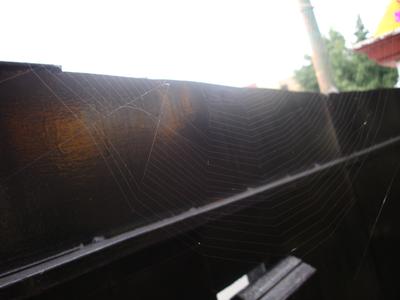 Telaraña