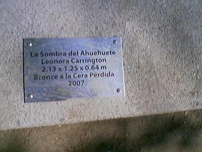 La Sombra del Ahuehuete