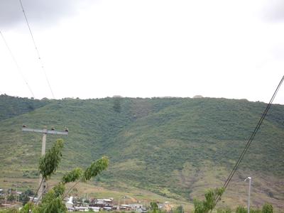 Monte Albán desde Arrazola
