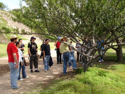 El grupo