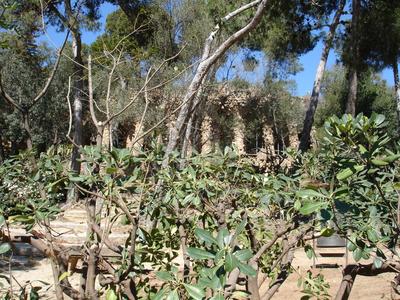 Parc Güell