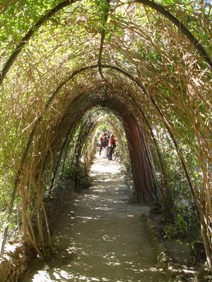 Parc Güell