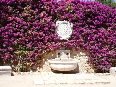 Fuente