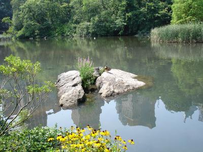 En Central Park