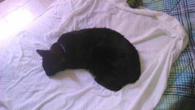 Moreno durmiendo