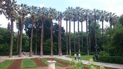 Parque de Alexandra