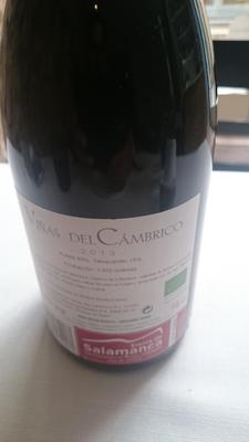 El vino