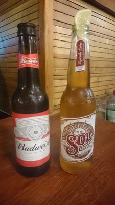 Budweiser y Sol