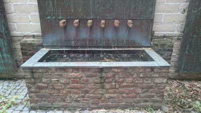 Fuente