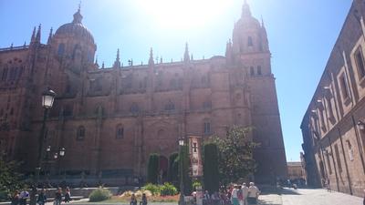 Catedral Nueva