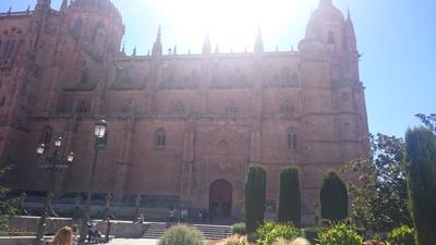 Catedral Nueva