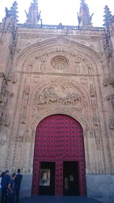 Catedral Nueva