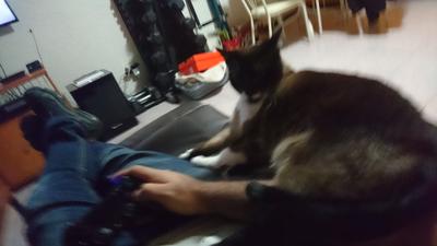 Mauricia no dejándome jugar