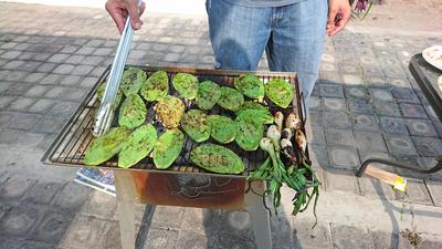 Los nopales