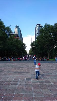 Reforma