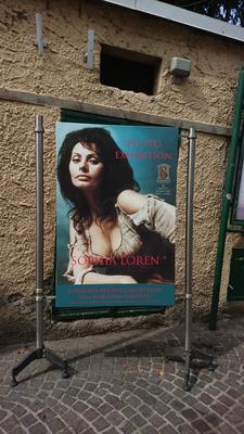 Sophia Loren