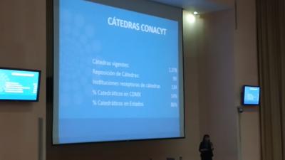 Cátedras