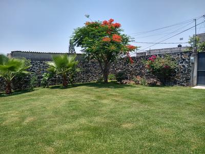 El jardín