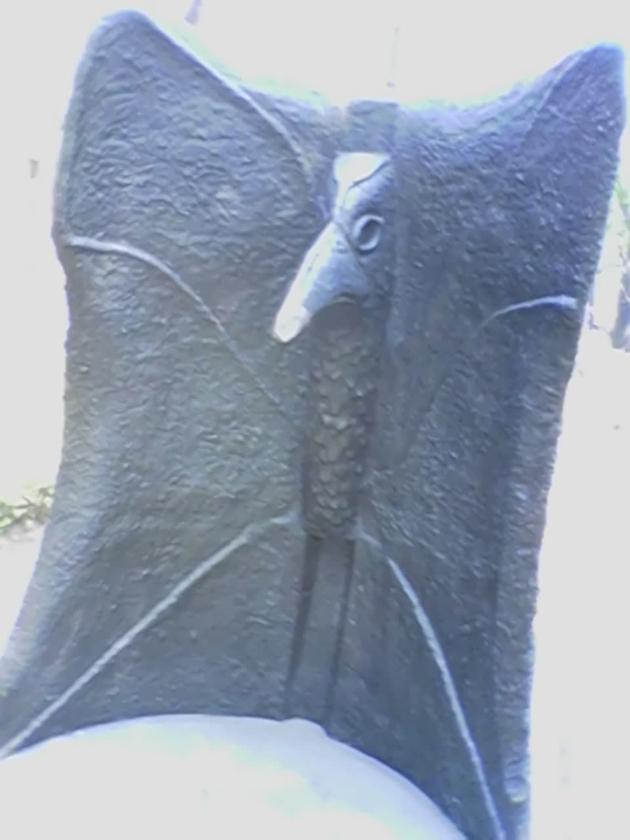 Harp