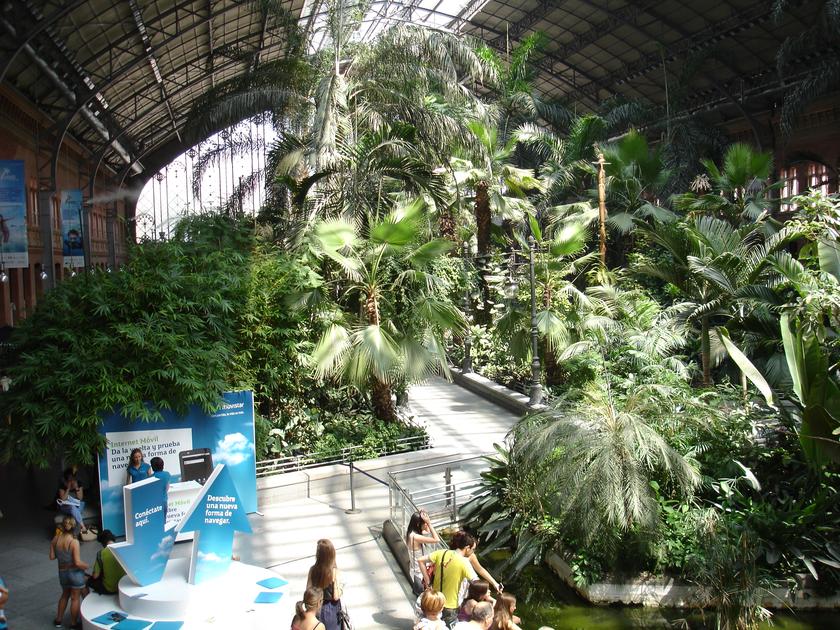 Tortugas en la terminal de trenes