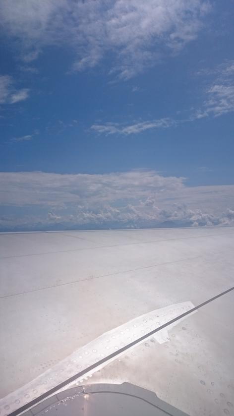 El avión