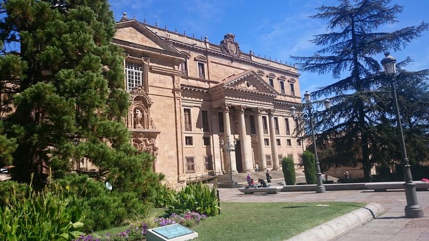 Catedral Nueva