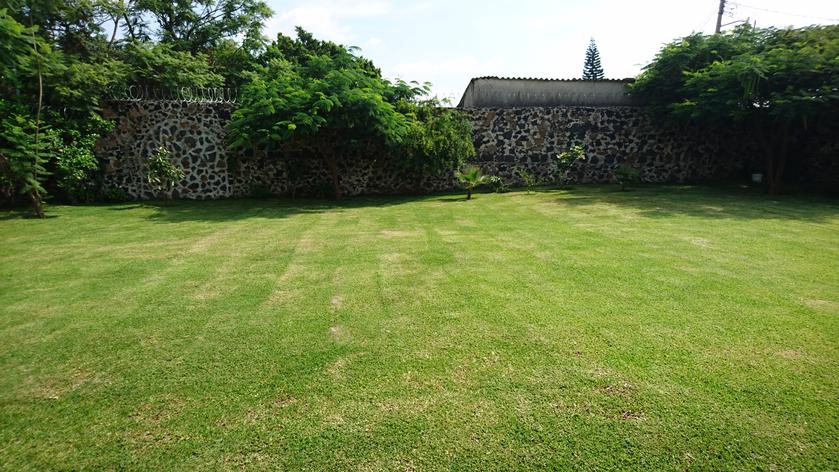 Jardín de la Casa Blanca