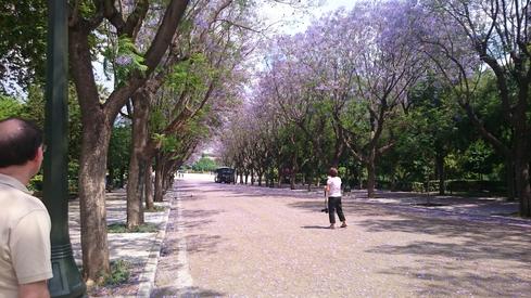 Parque de Alexandra