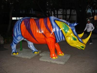 Rinoceronte de colores