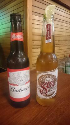 Budweiser y Sol
